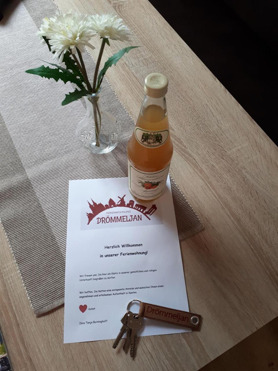 Ferienwohnung Droemmeljan 克桑滕 外观 照片